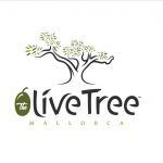 portal-empleo-trabajo-trabajar-baleares-ofertas-mllorca-menorca-ibiza-formentera-candidatos-seleccion-cv-wok-jobs