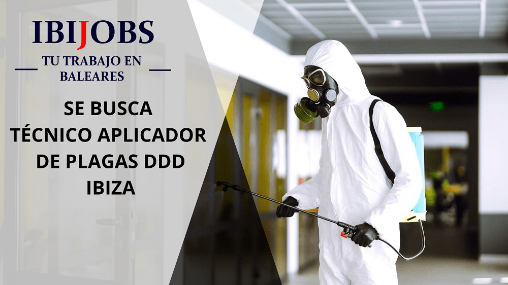 trabajar-menorca-mallorca-ibiza-formentera-jobs-work-candidatos-eivissa-empleo-cv-client-executive