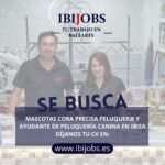oferta-de-trabajo-peluquero-a-y-ayudante-de-peluqueria-canina-ibiza-baleares-jobs-work