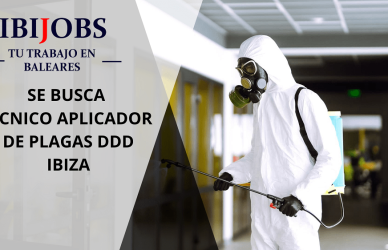 trabajar-menorca-mallorca-ibiza-formentera-jobs-work-candidatos-eivissa-empleo-cv-client-executive